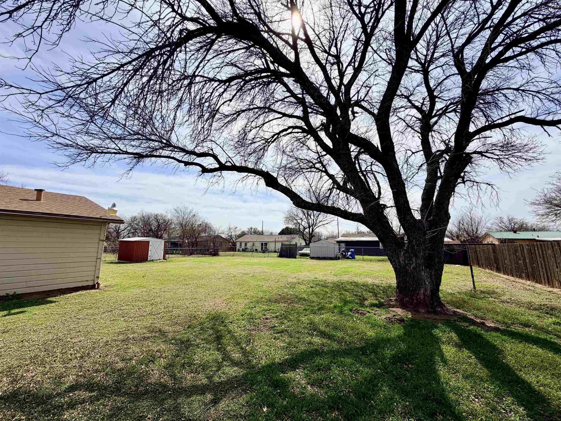 41 acres in Wichita County - photo 18