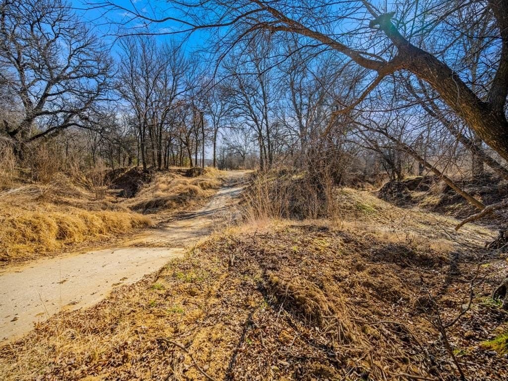206.5 acres in Jack County - photo 4