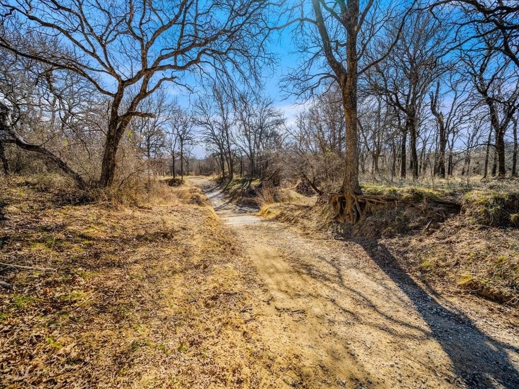 206.5 acres in Jack County - photo 5