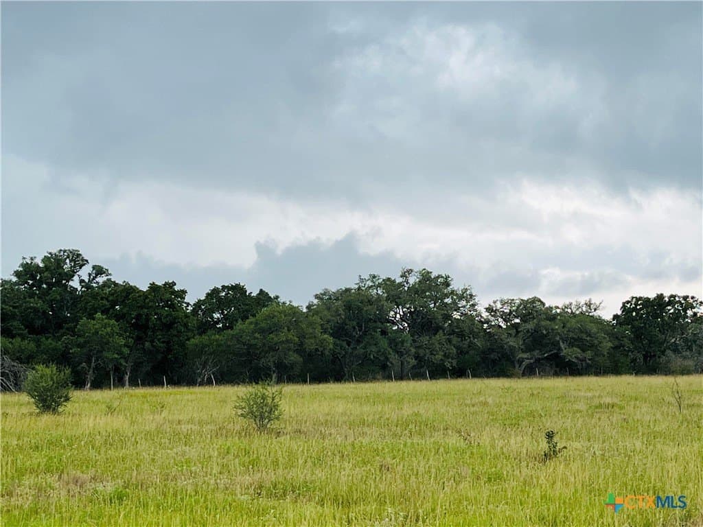 24 acres in DeWitt County - photo 3