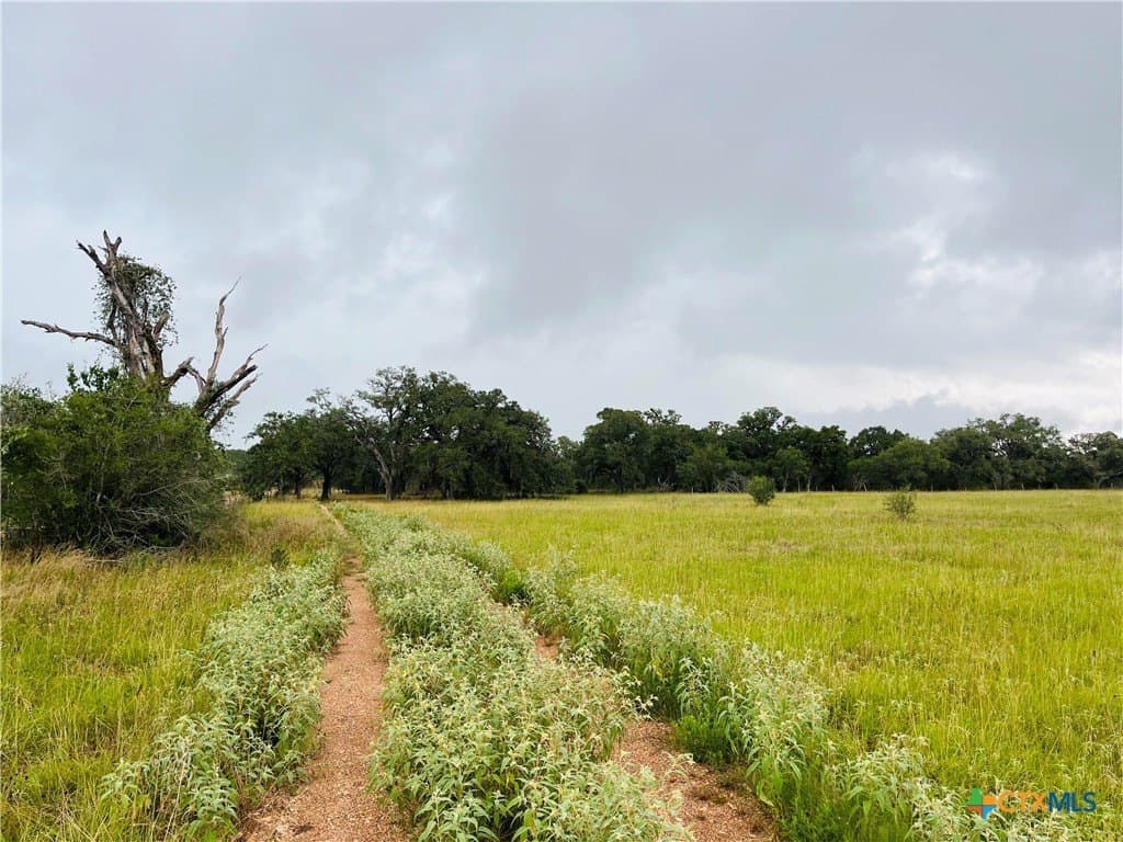 24 acres in DeWitt County - photo 2