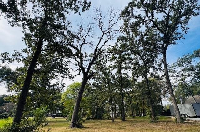 0.38 acres in Henderson County - photo 11