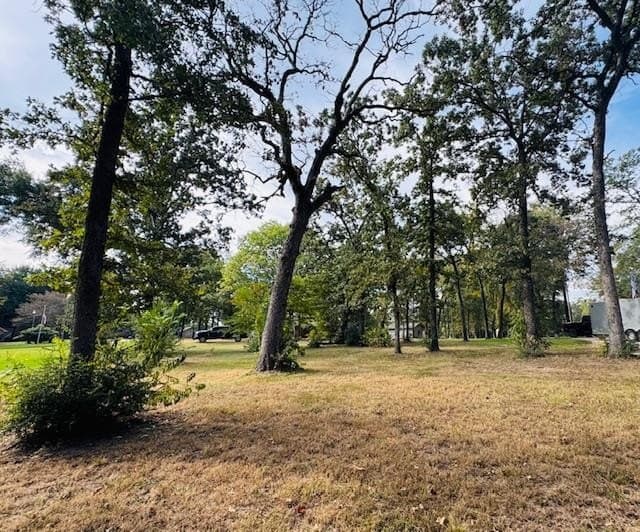 0.38 acres in Henderson County - photo 10