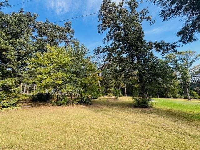 0.38 acres in Henderson County - photo 9