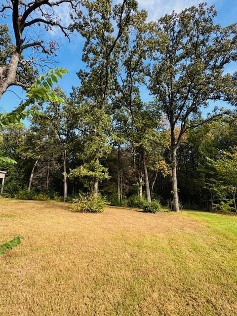 0.38 acres in Henderson County - photo 12