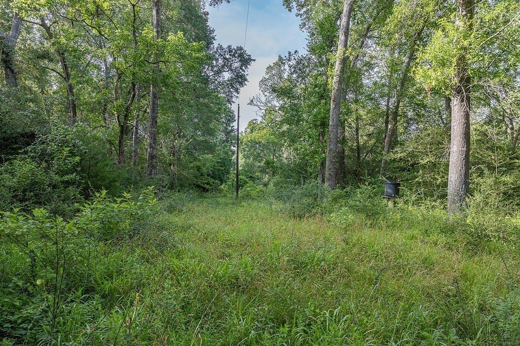 30 acres in Fayette County - photo 10