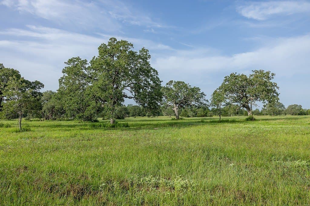 30 acres in Fayette County - photo 4
