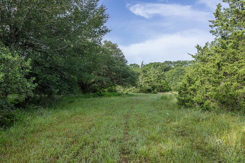 30 acres in Fayette County - photo 6