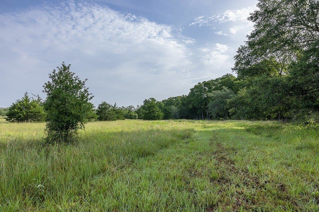 30 acres in Fayette County - photo 7