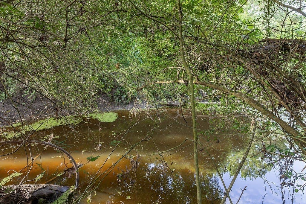 30 acres in Fayette County - photo 9