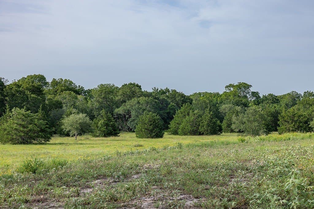 30 acres in Fayette County - photo 5
