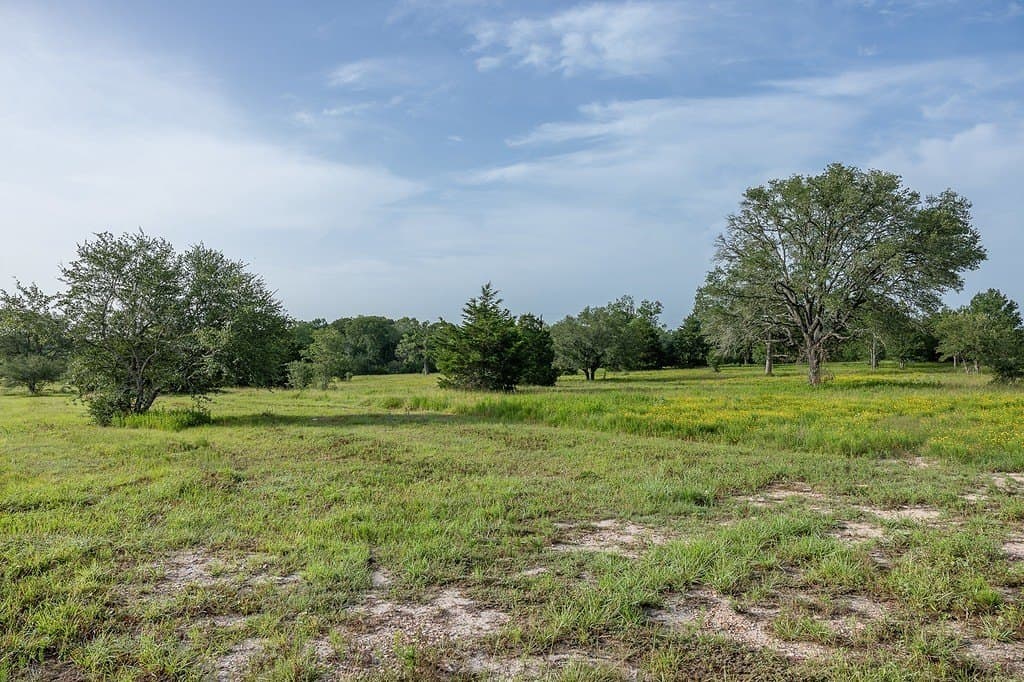 30 acres in Fayette County - photo 2