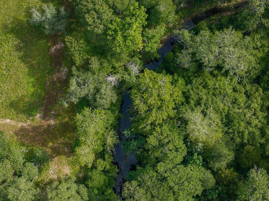 30 acres in Fayette County - photo 19