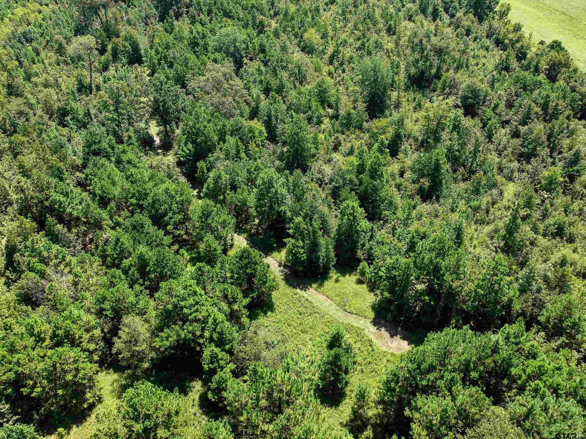 30.03 acres in Rusk County - photo 11