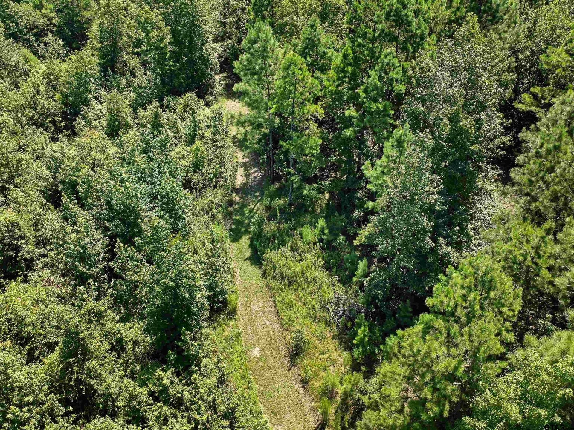 30.03 acres in Rusk County - photo 12
