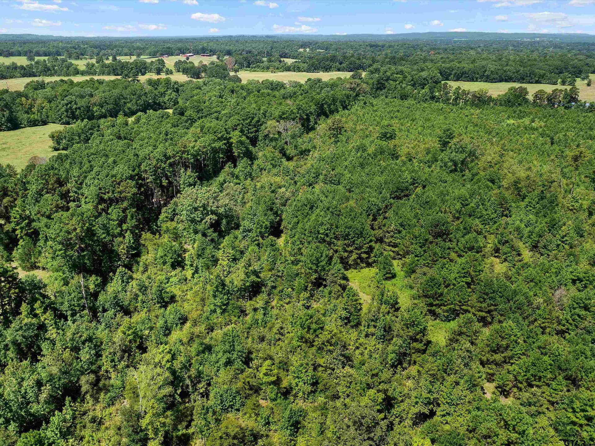 30.03 acres in Rusk County - photo 9