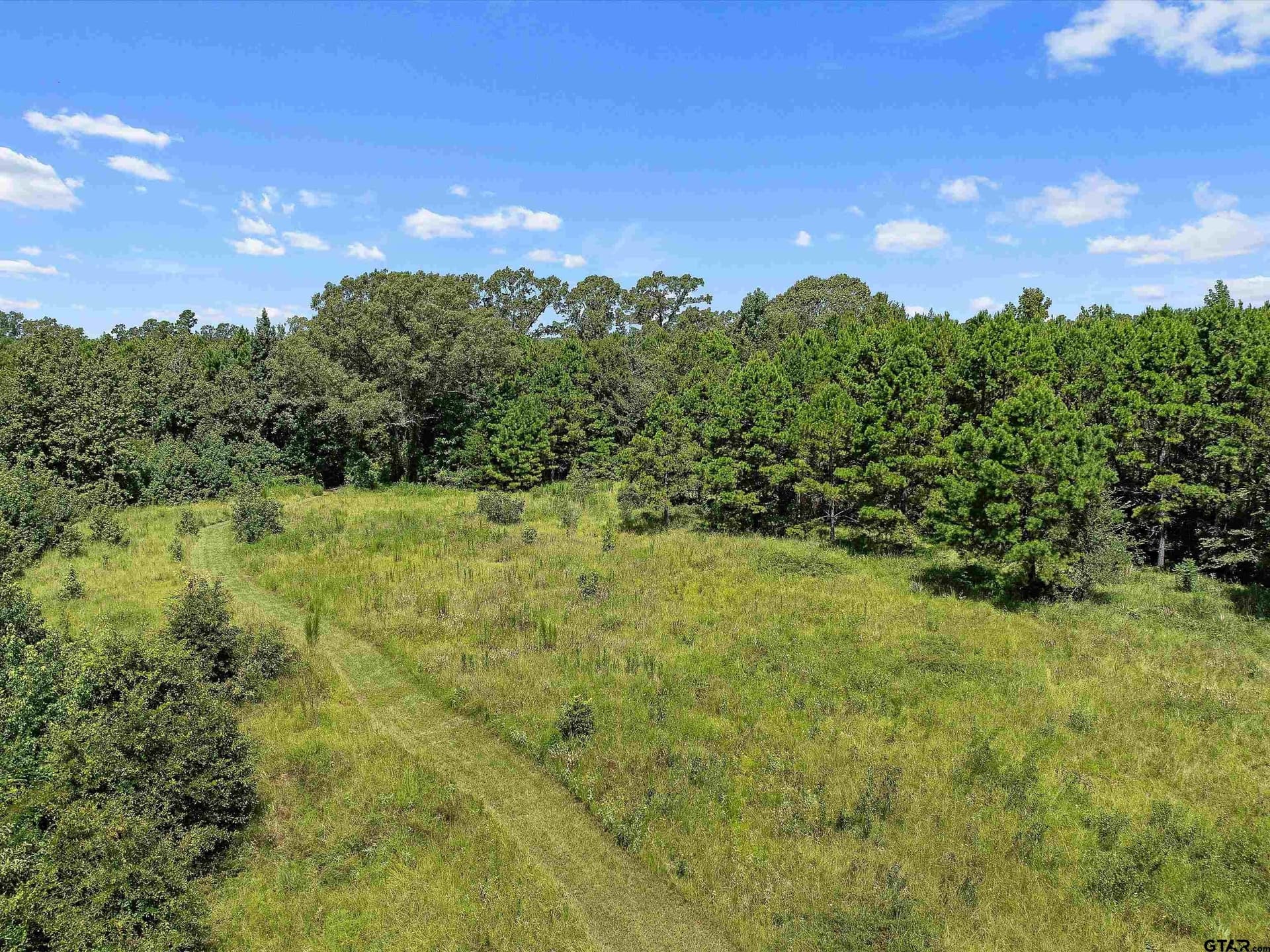 30.03 acres in Rusk County - photo 6