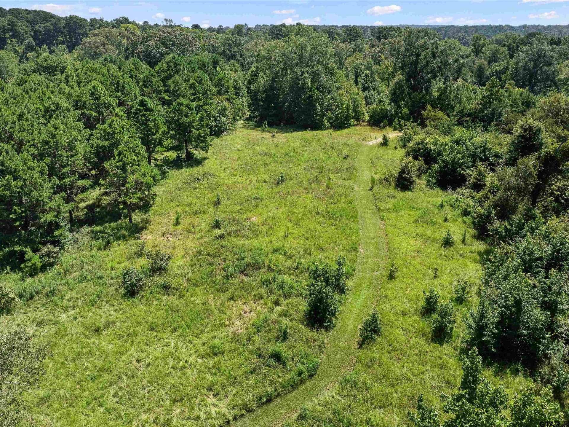 30.03 acres in Rusk County - photo 8