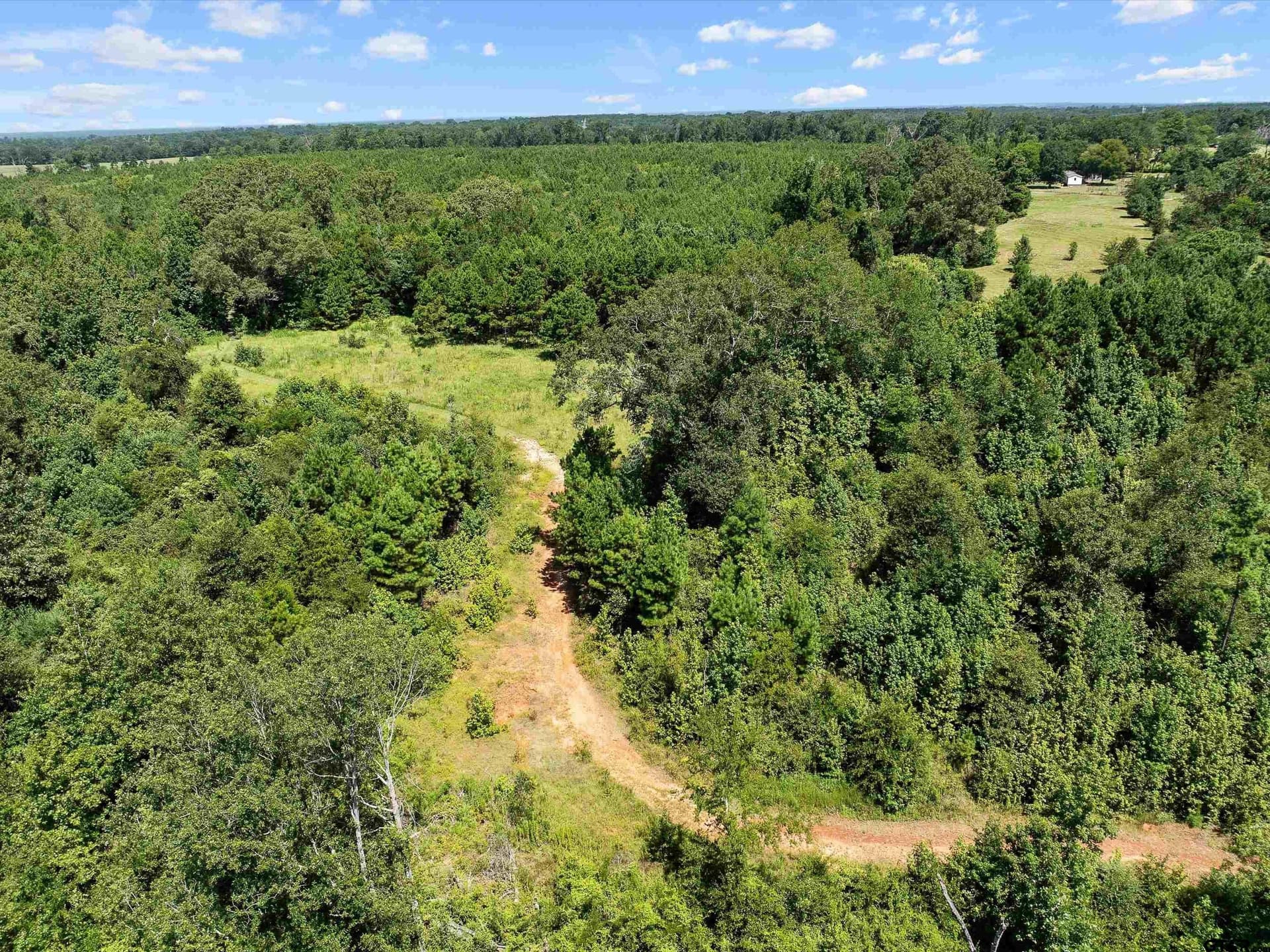 30.03 acres in Rusk County - photo 5