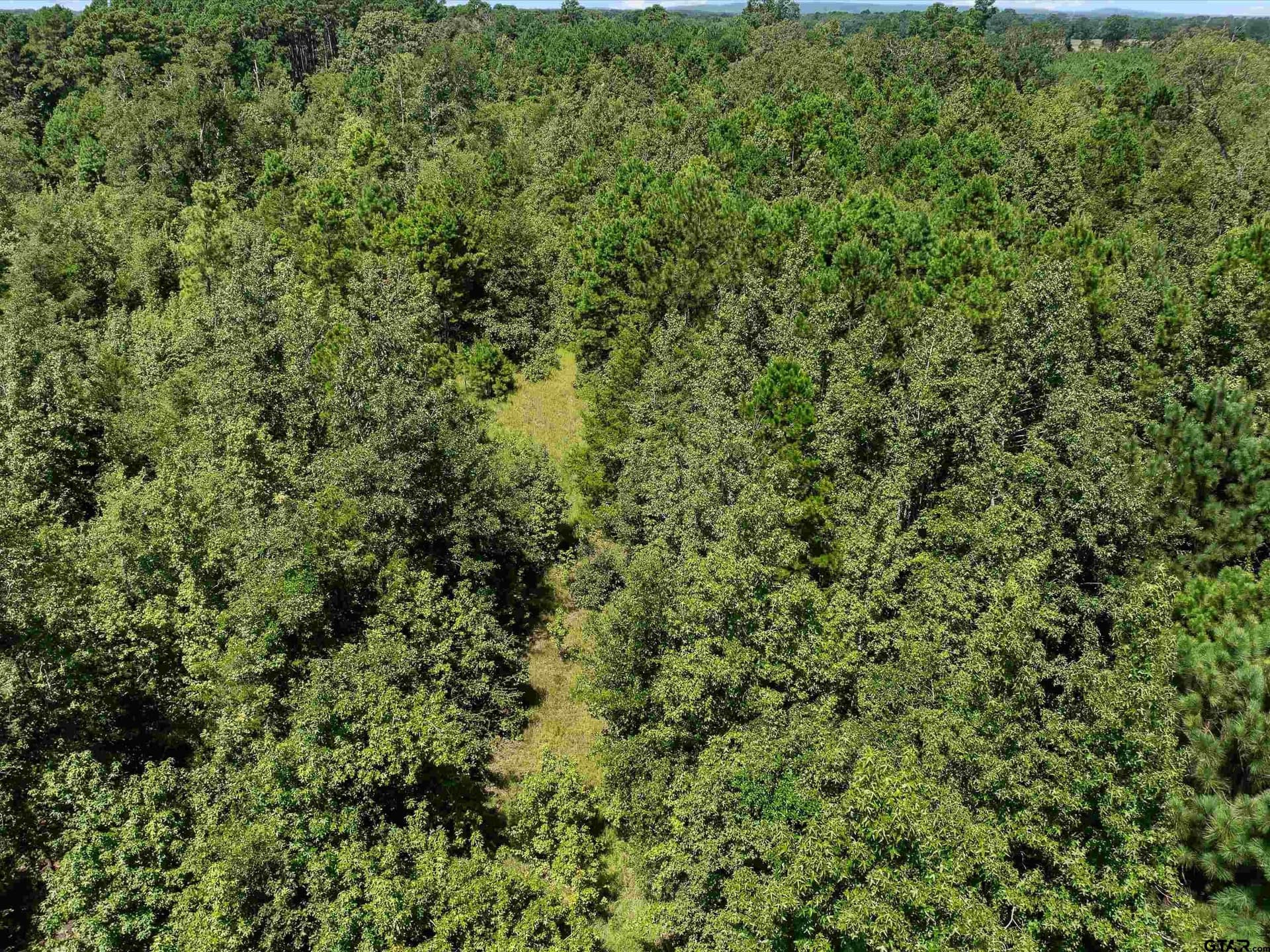 30.03 acres in Rusk County - photo 7