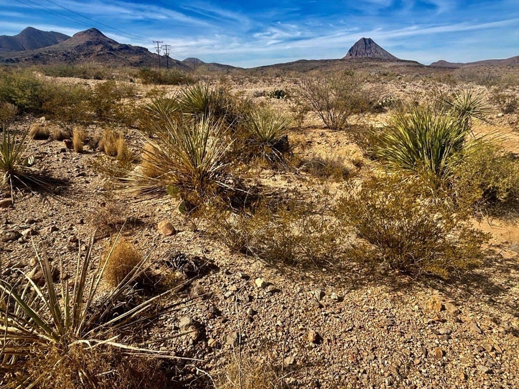 67.5 acres in Brewster County - photo 5