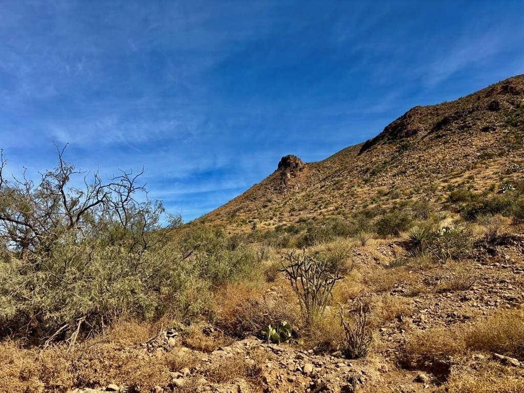 67.5 acres in Brewster County - photo 32