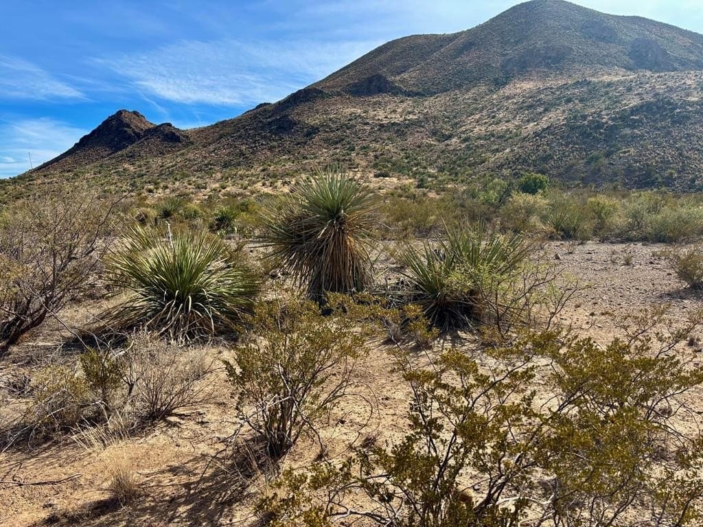 67.5 acres in Brewster County - photo 25