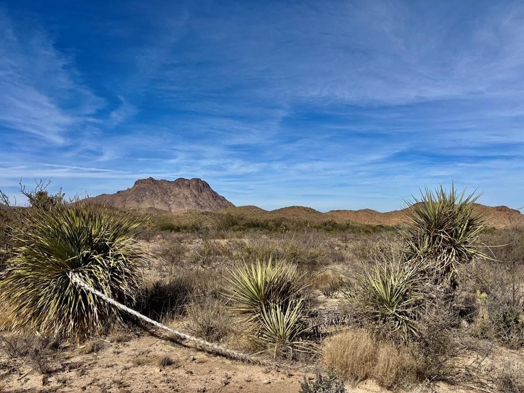 67.5 acres in Brewster County - photo 19