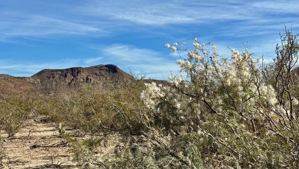 67.5 acres in Brewster County - photo 9