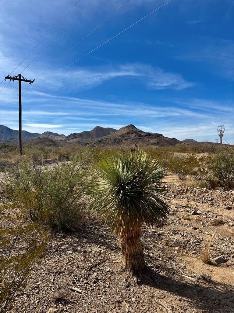 67.5 acres in Brewster County - photo 2