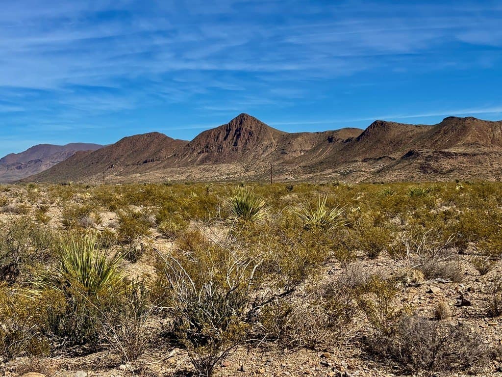 67.5 acres in Brewster County - photo 3