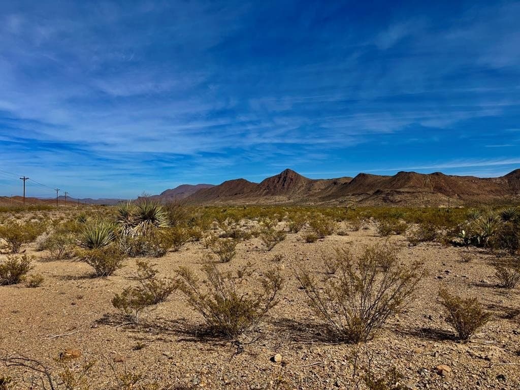 67.5 acres in Brewster County - photo 29