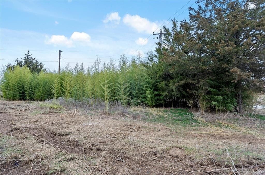 16.14 acres in Montague County - photo 13