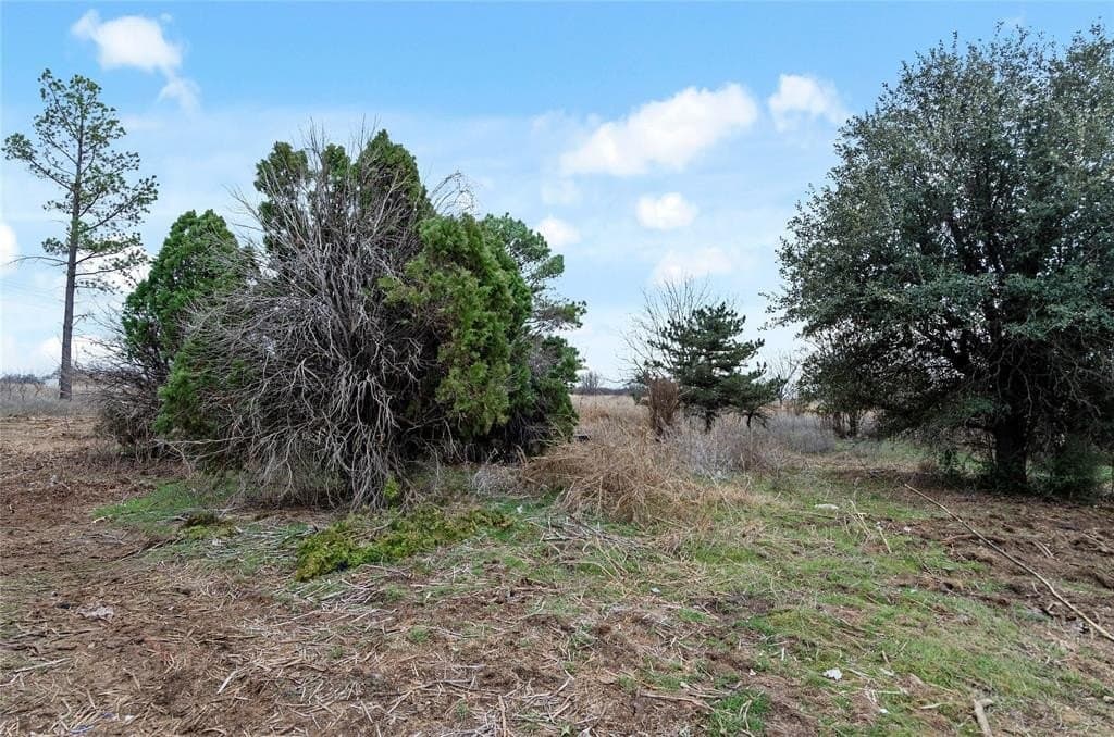 16.14 acres in Montague County - photo 15