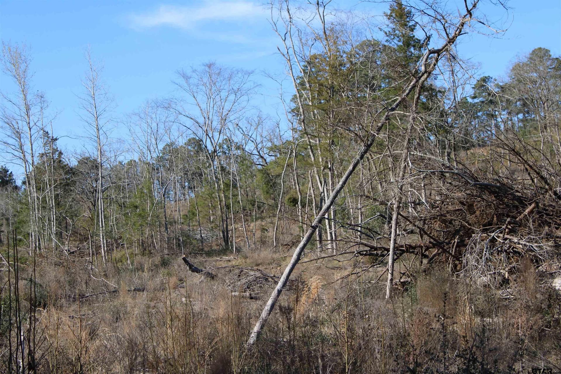 30 acres in Cherokee County - photo 5