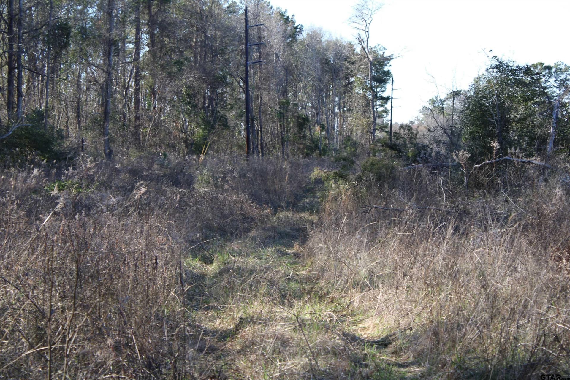 30 acres in Cherokee County - photo 2