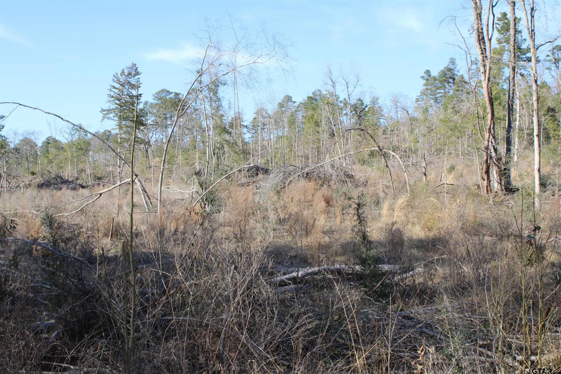 30 acres in Cherokee County - photo 8