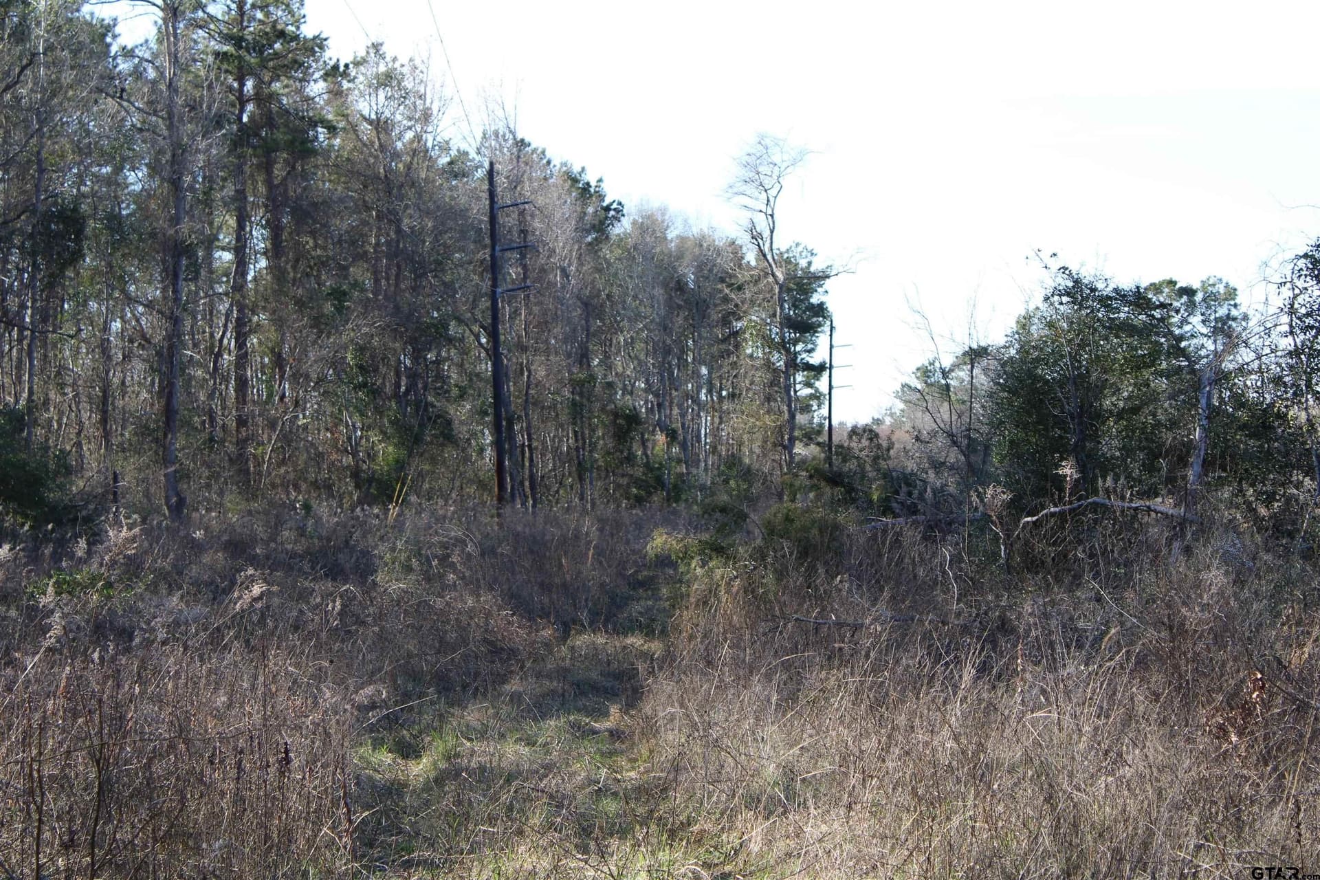 30 acres in Cherokee County - photo 7