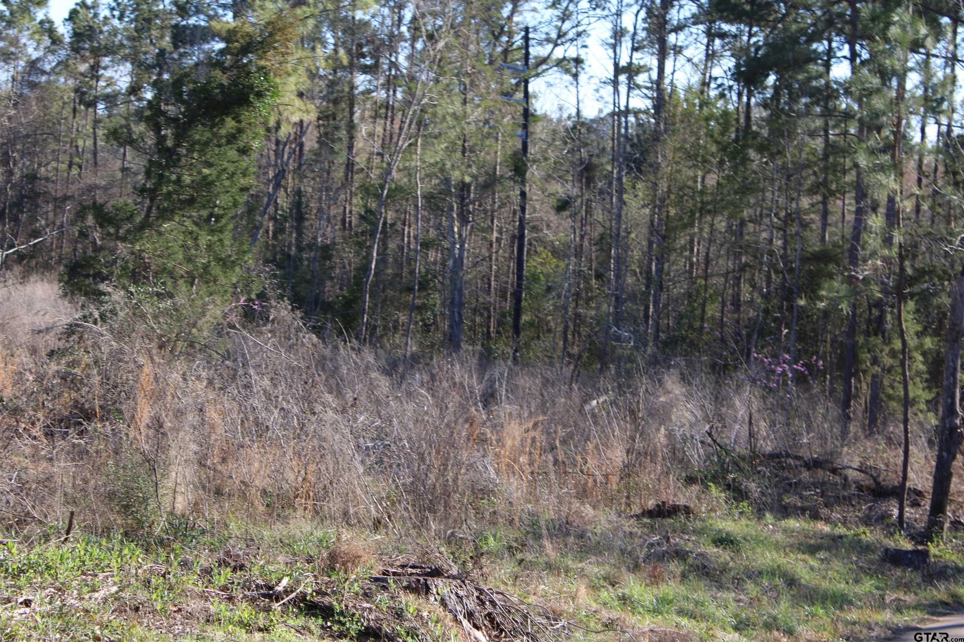 30 acres in Cherokee County - photo 4