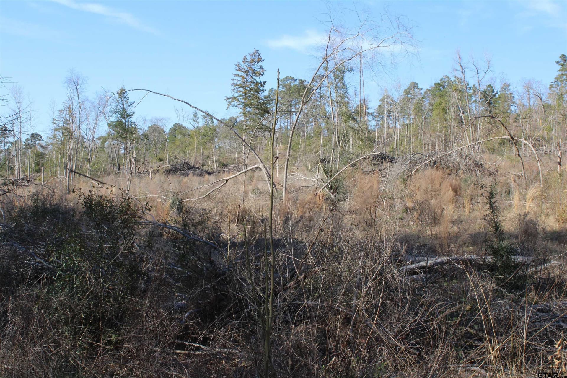30 acres in Cherokee County - photo 9