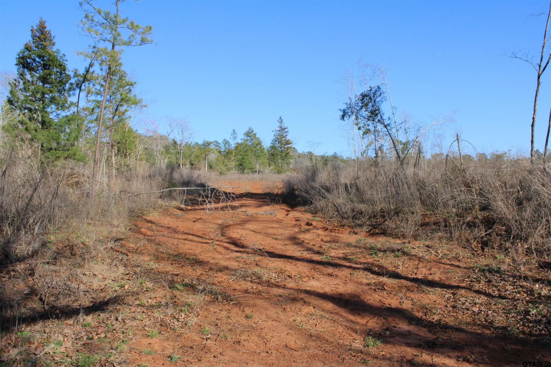 30 acres in Cherokee County - photo 3