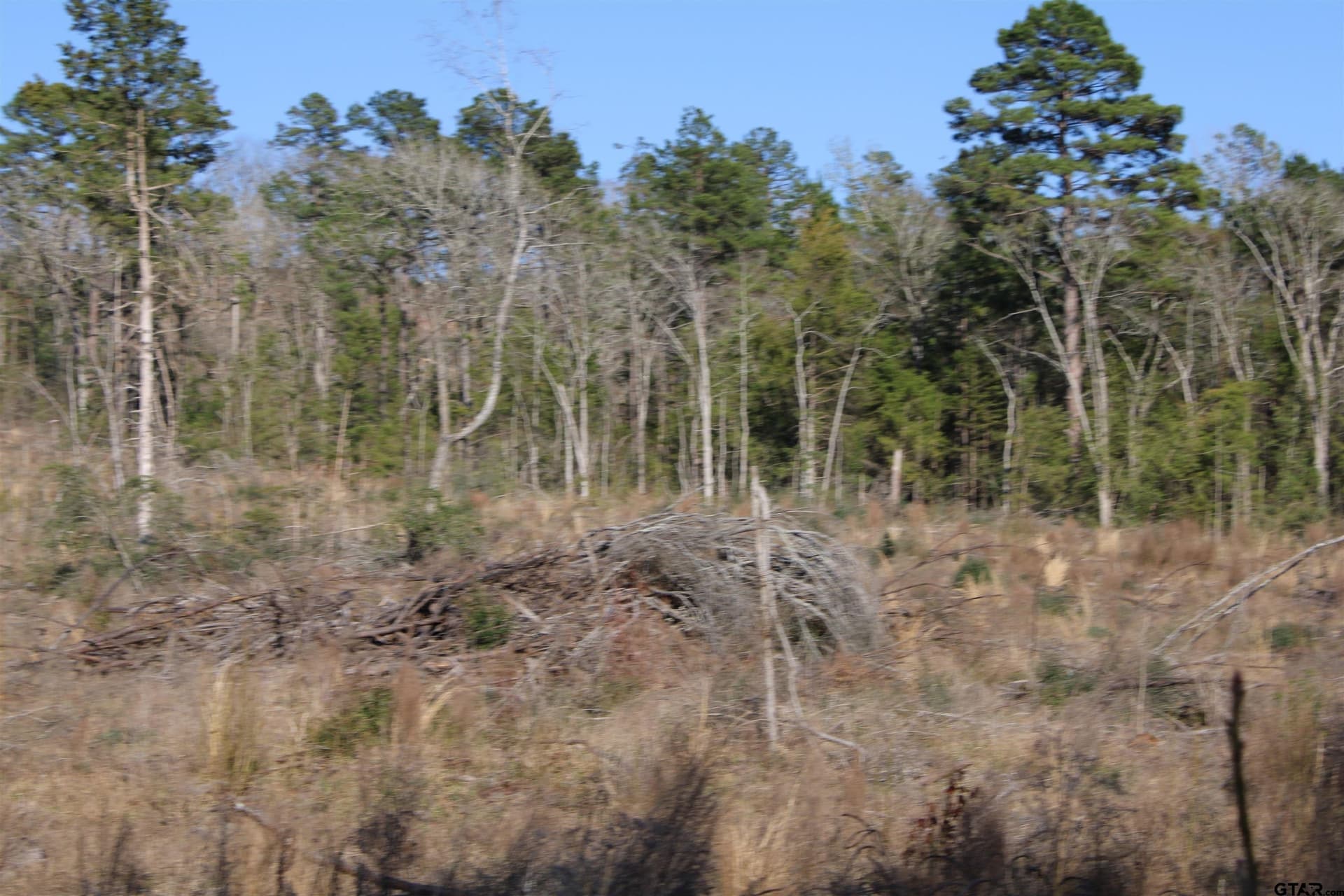 30 acres in Cherokee County - photo 6