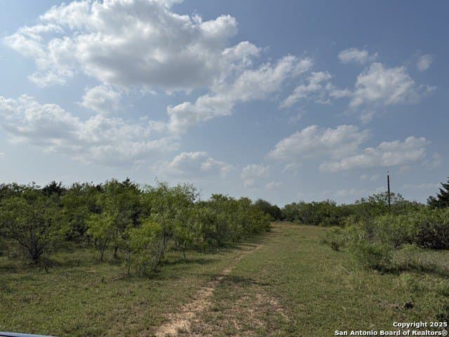 11.5 acres in Gonzales County - photo 12
