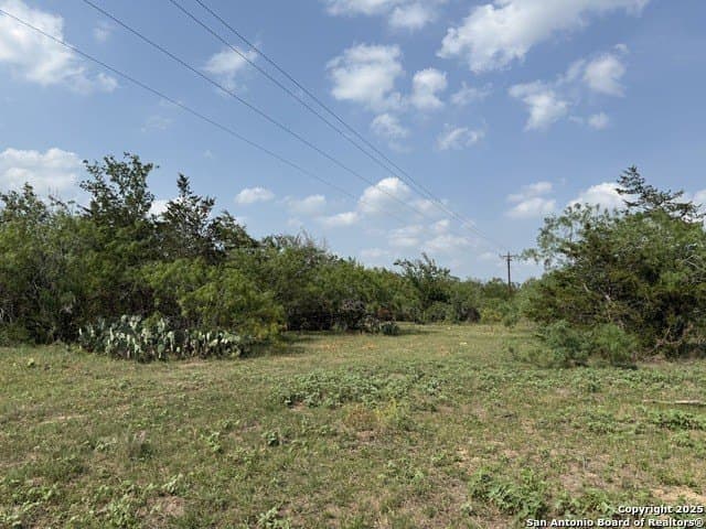 11.5 acres in Gonzales County - photo 15