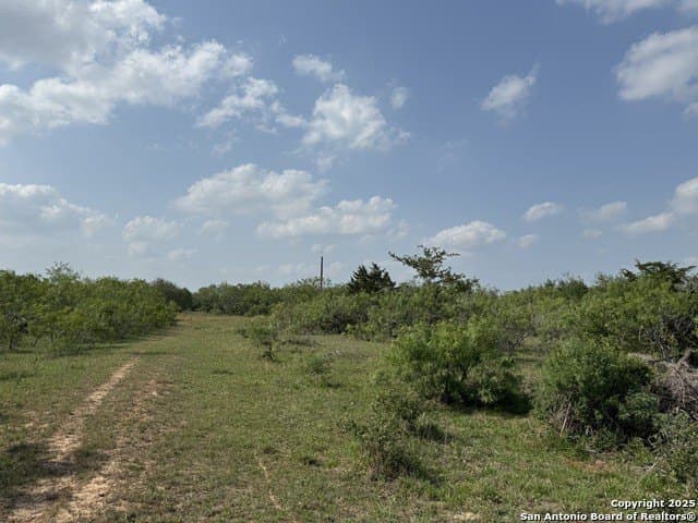 11.5 acres in Gonzales County - photo 7