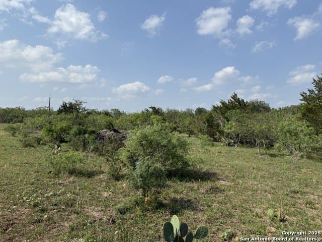 11.5 acres in Gonzales County - photo 9