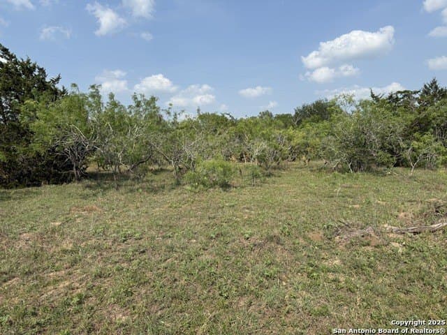 11.5 acres in Gonzales County - photo 6