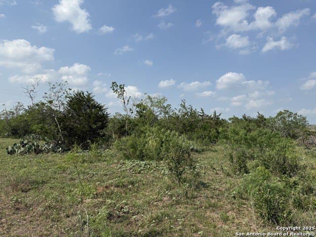 11.5 acres in Gonzales County - photo 14