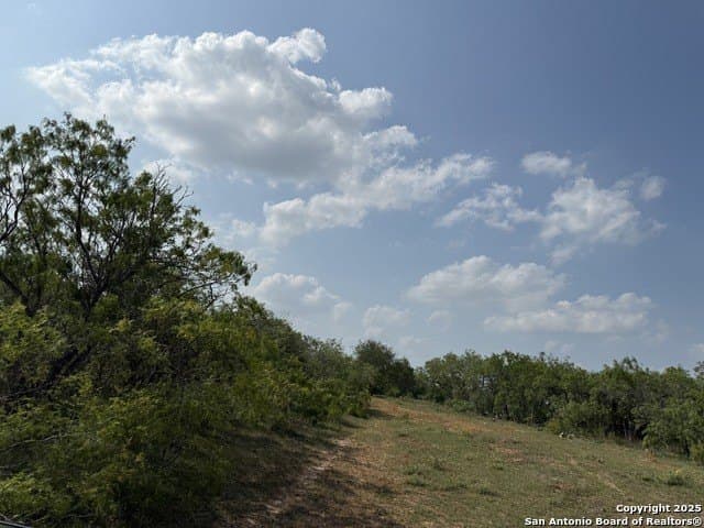 11.5 acres in Gonzales County - photo 4