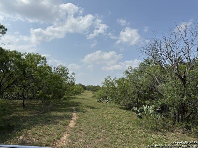 11.5 acres in Gonzales County - photo 11